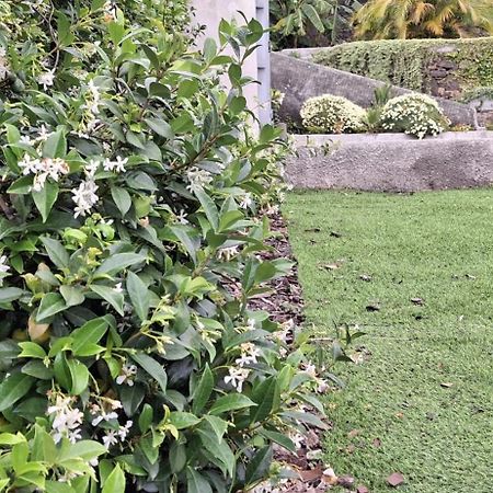 Moradia Stephanie Funchal  Exteriér fotografie