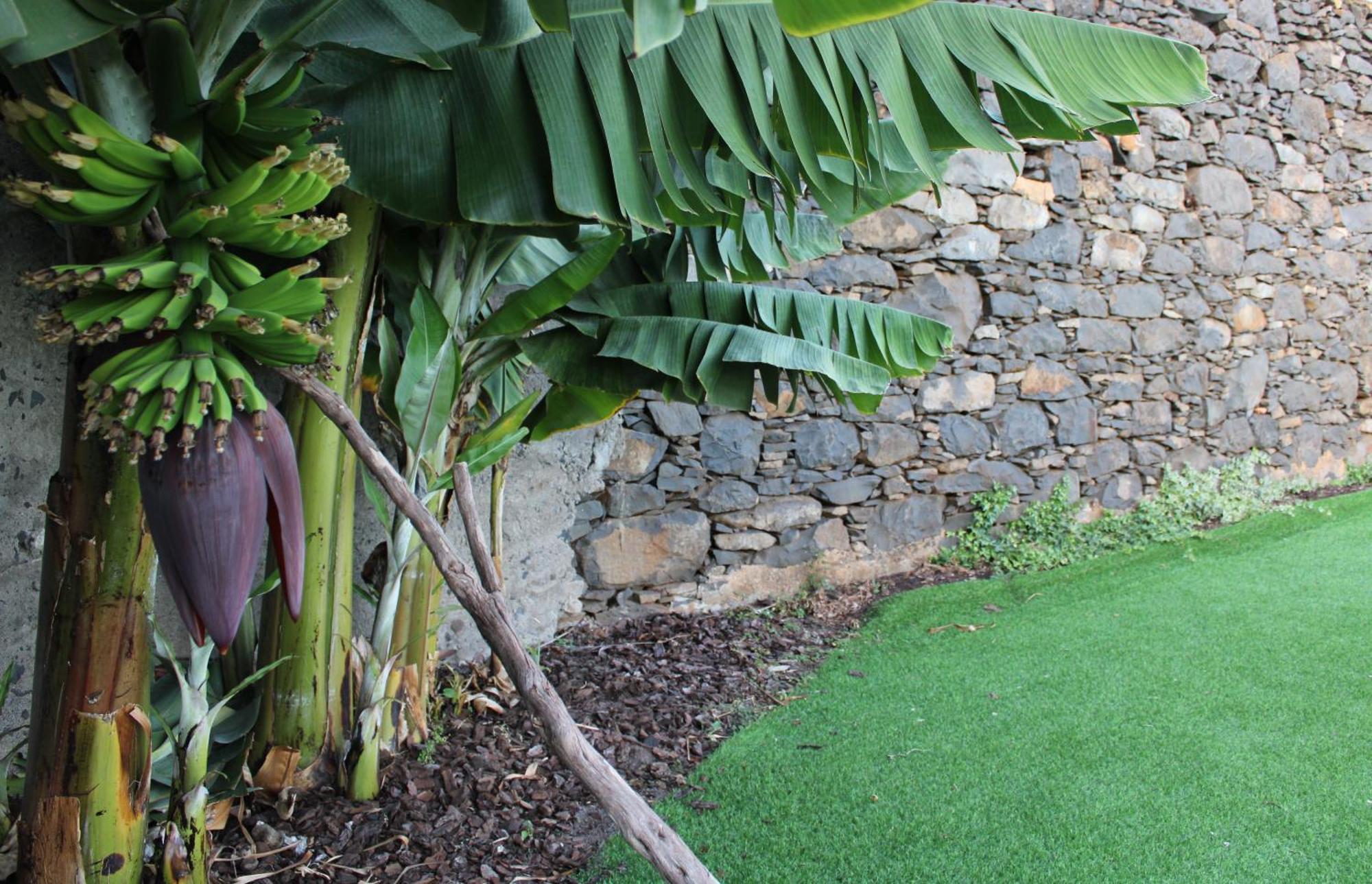 Moradia Stephanie Funchal  Exteriér fotografie