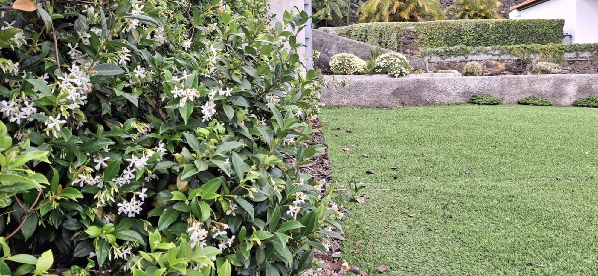 Moradia Stephanie Funchal  Exteriér fotografie